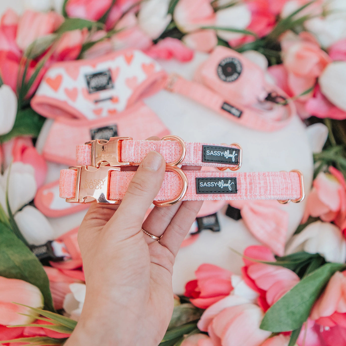 Dolce Rose
