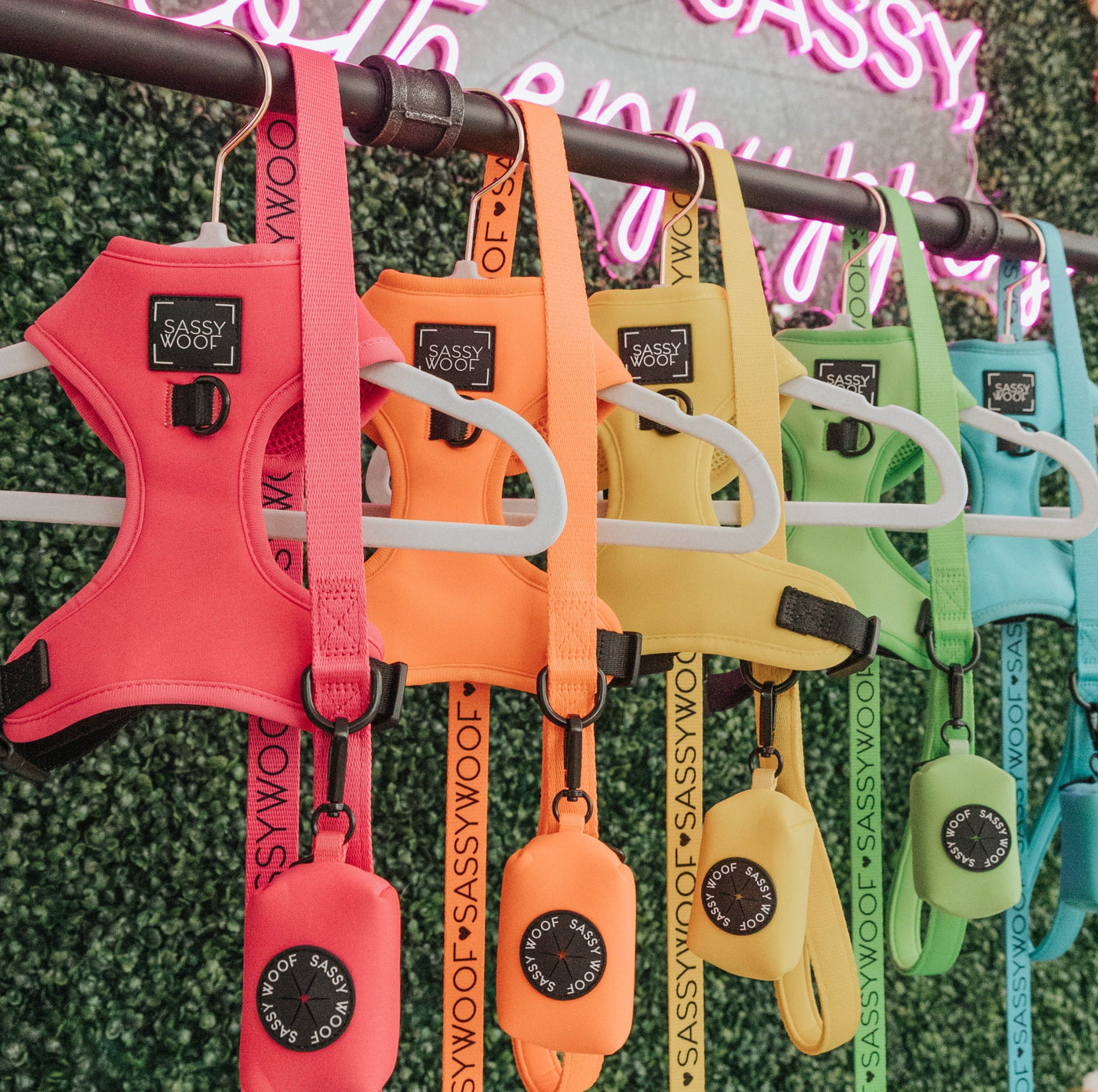 Neon Collection