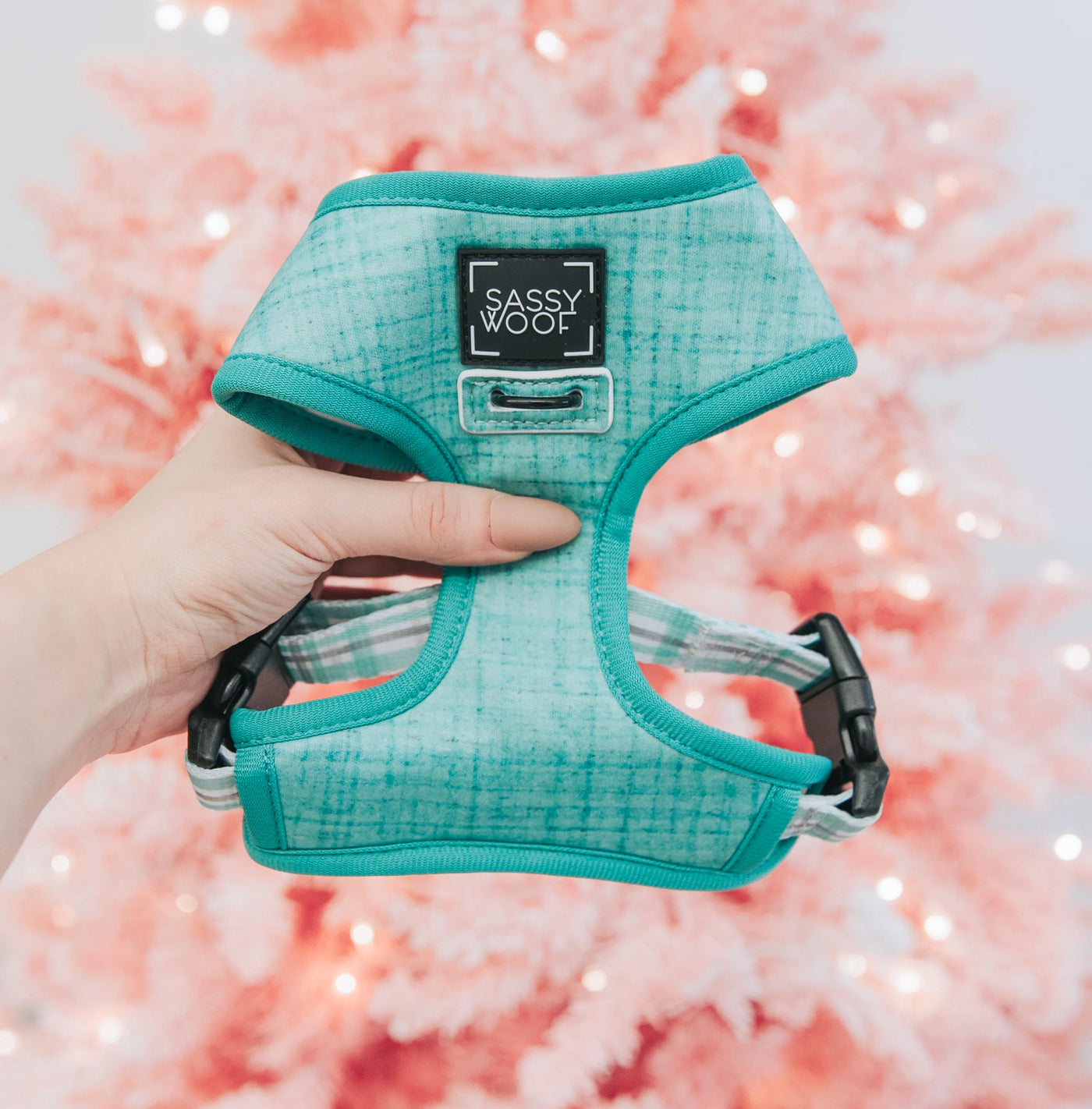 Wag Your Teal