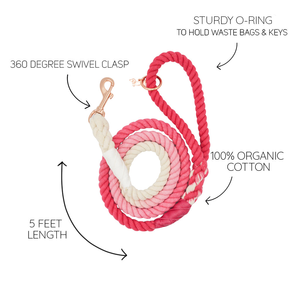Dog Rope Leash - Ombre Pink