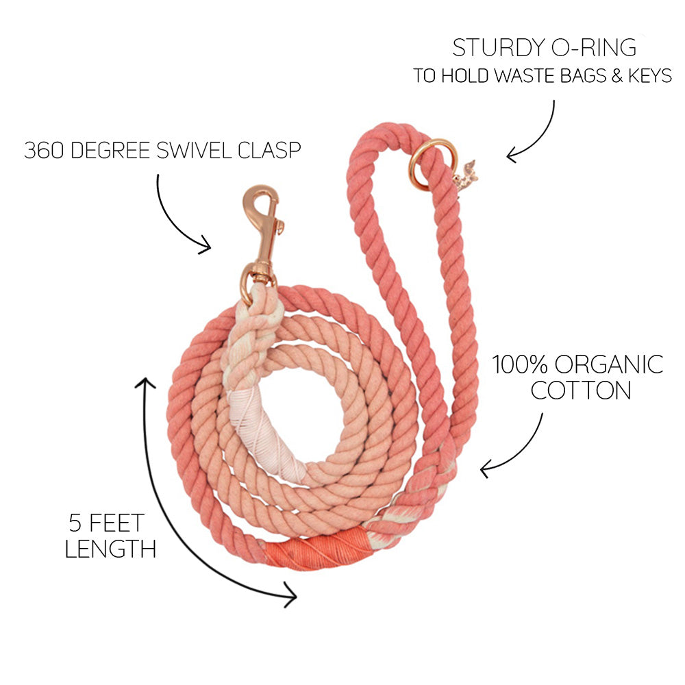 Dog Rope Leash - Dreamy