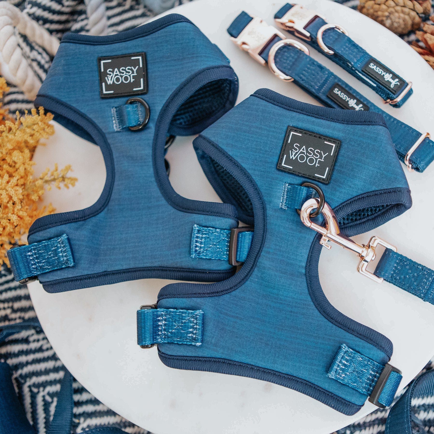 Dog Four Piece Bundle - Twilight