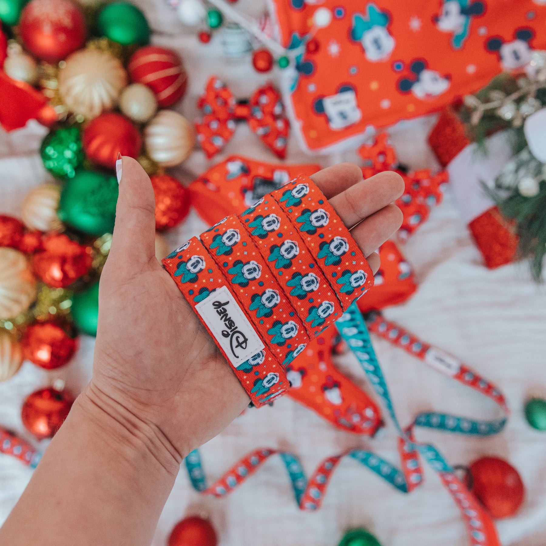 Dog Leash - Disney Holiday