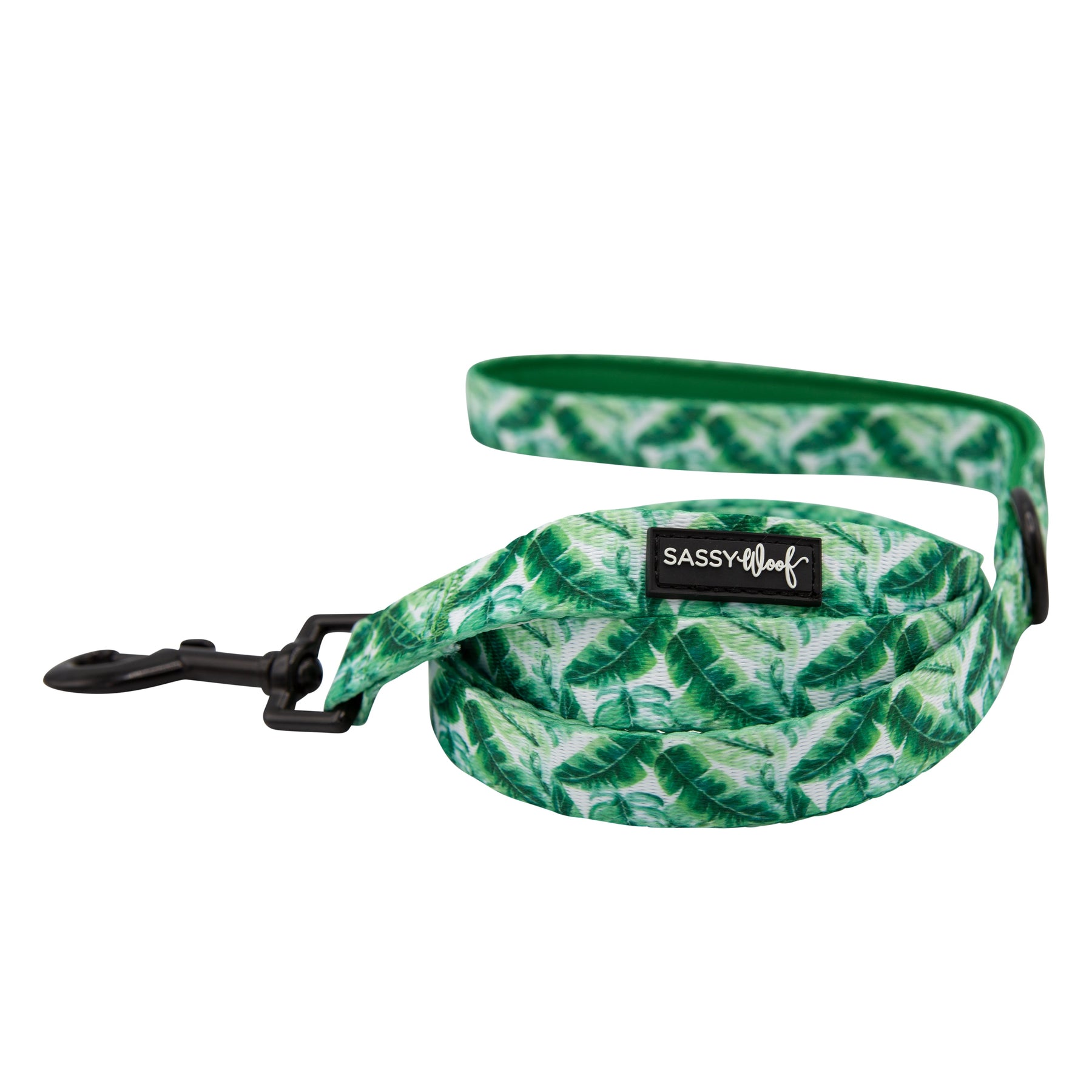 Dog Two Piece Bundle - Verano
