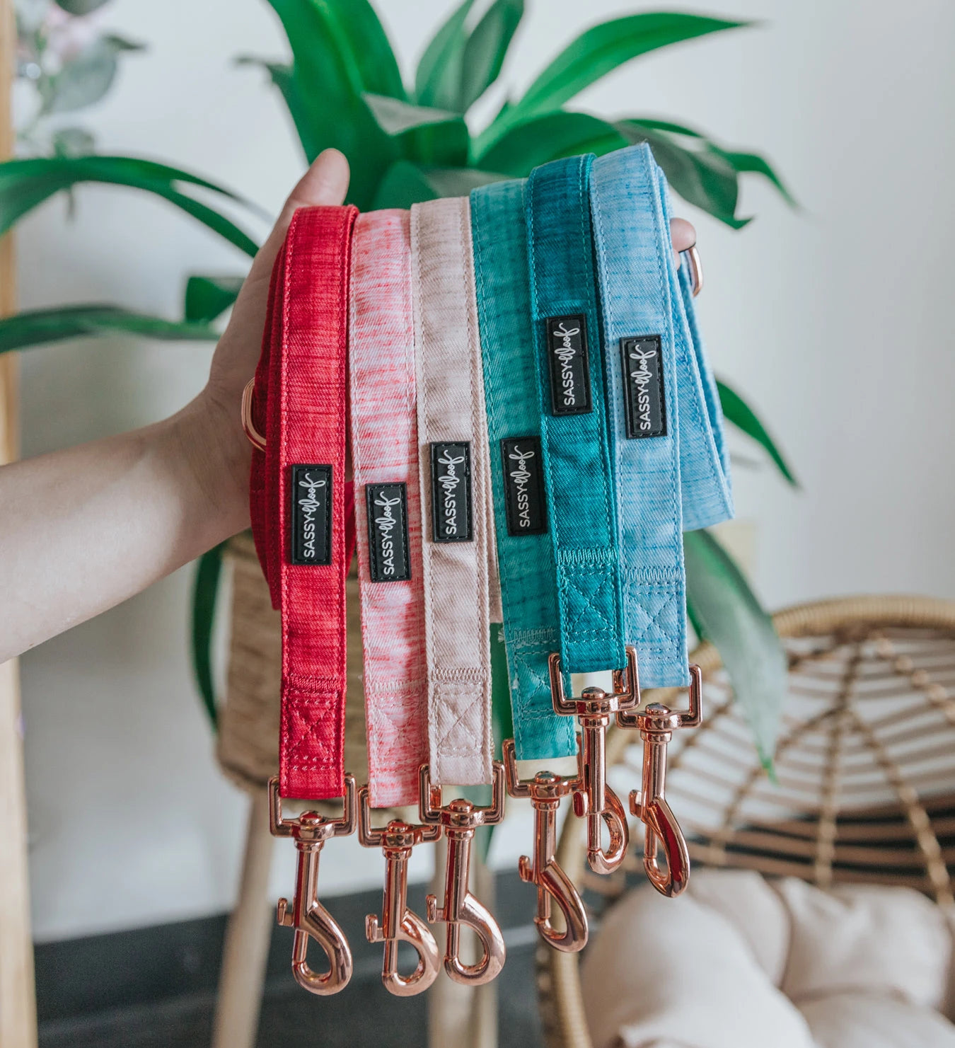 Fabric Leashes