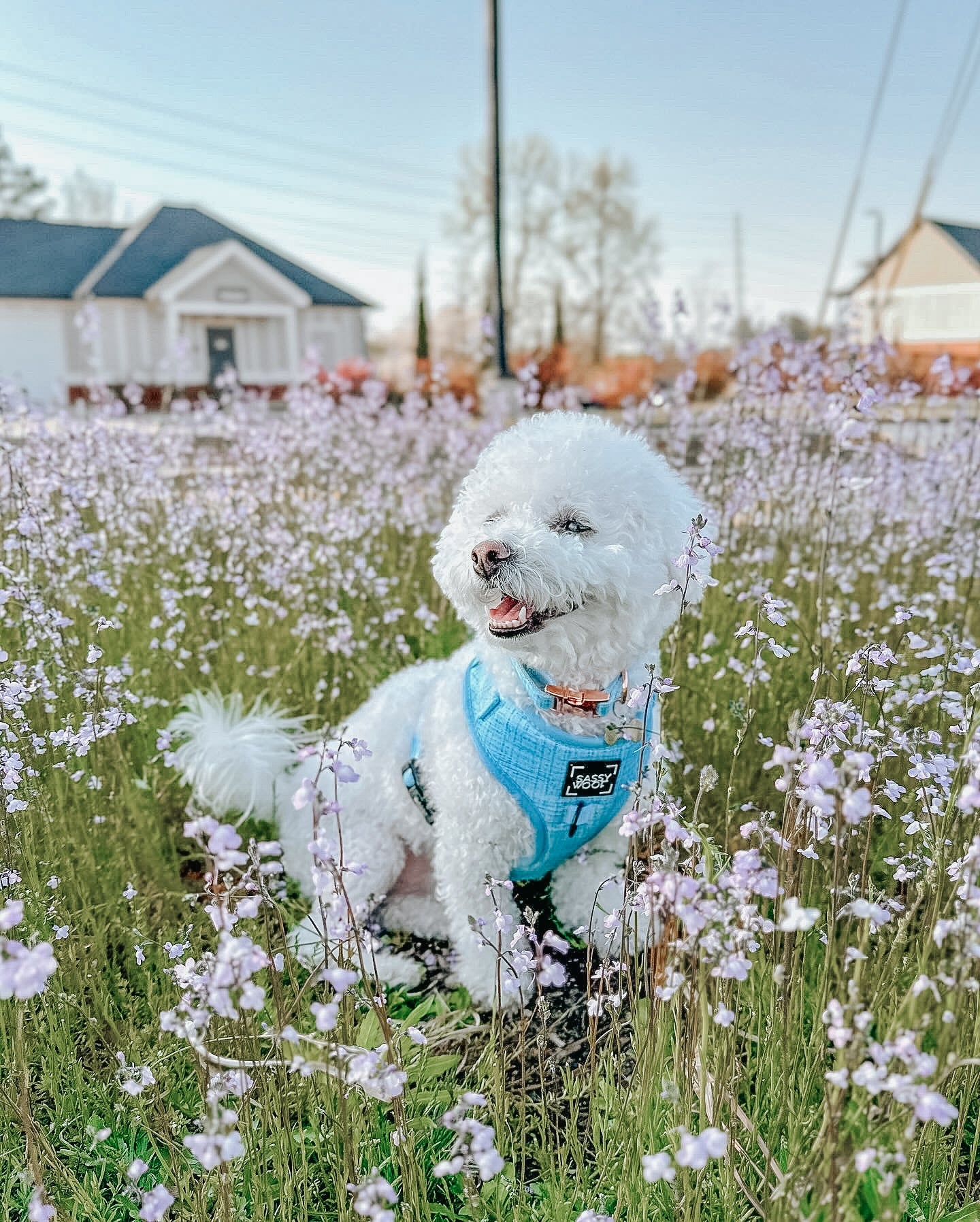 INFLUENCER_CONTENT | @BINGSUTHEBICHON | SIZE XS