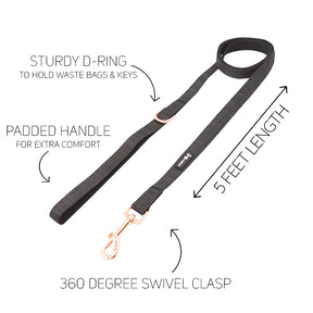 Dog Four Piece Bundle - Baby Got Black
