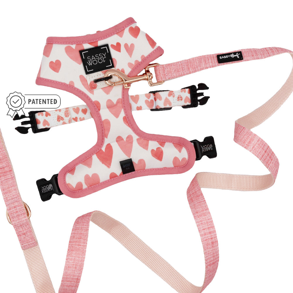 Dog Two Piece Bundle - Dolce Rose