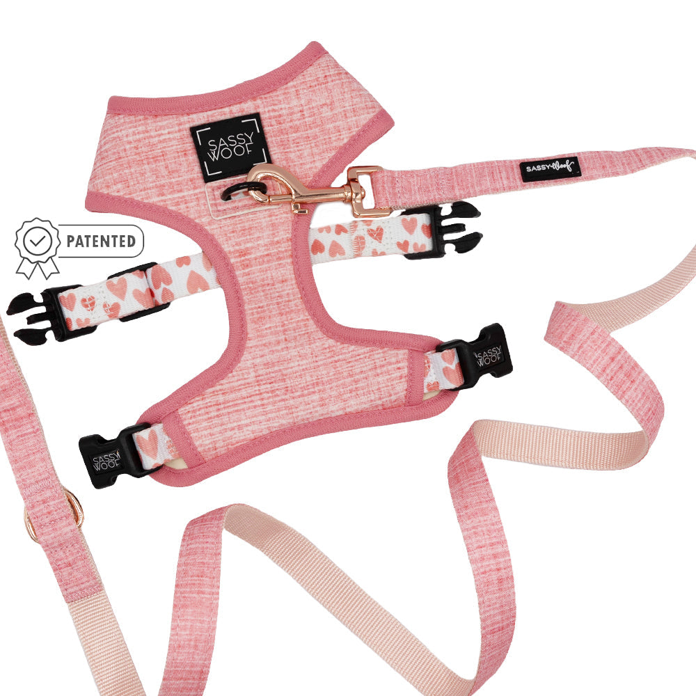 Dog Two Piece Bundle - Dolce Rose
