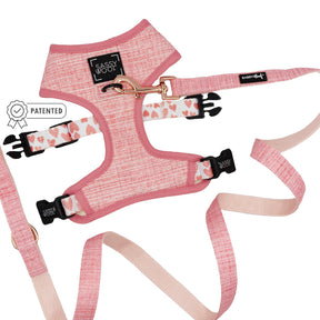Dog Two Piece Bundle - Dolce Rose
