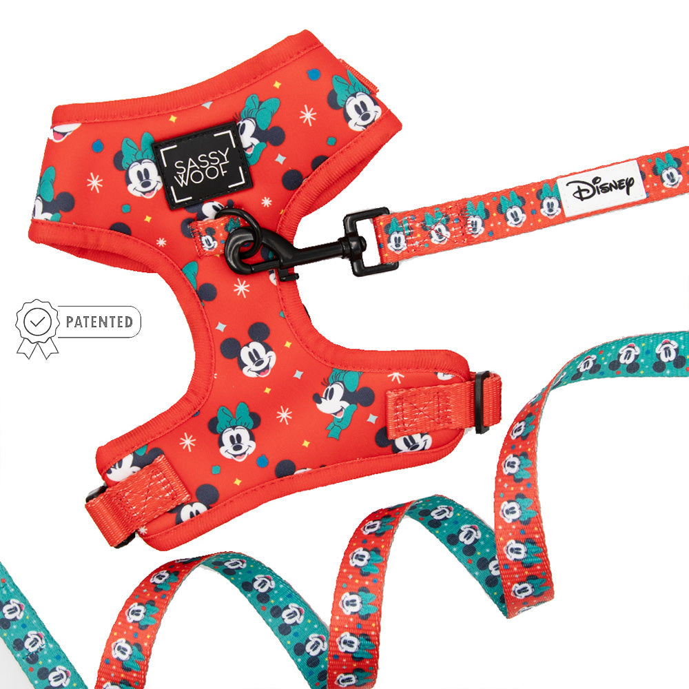 Dog Two Piece Bundle -  Disney Holiday