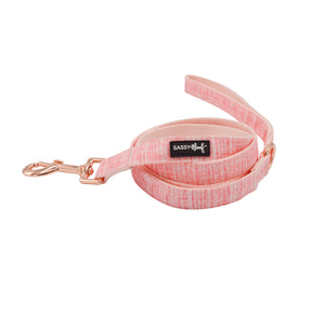 Dog Four Piece Bundle - Dolce Rose