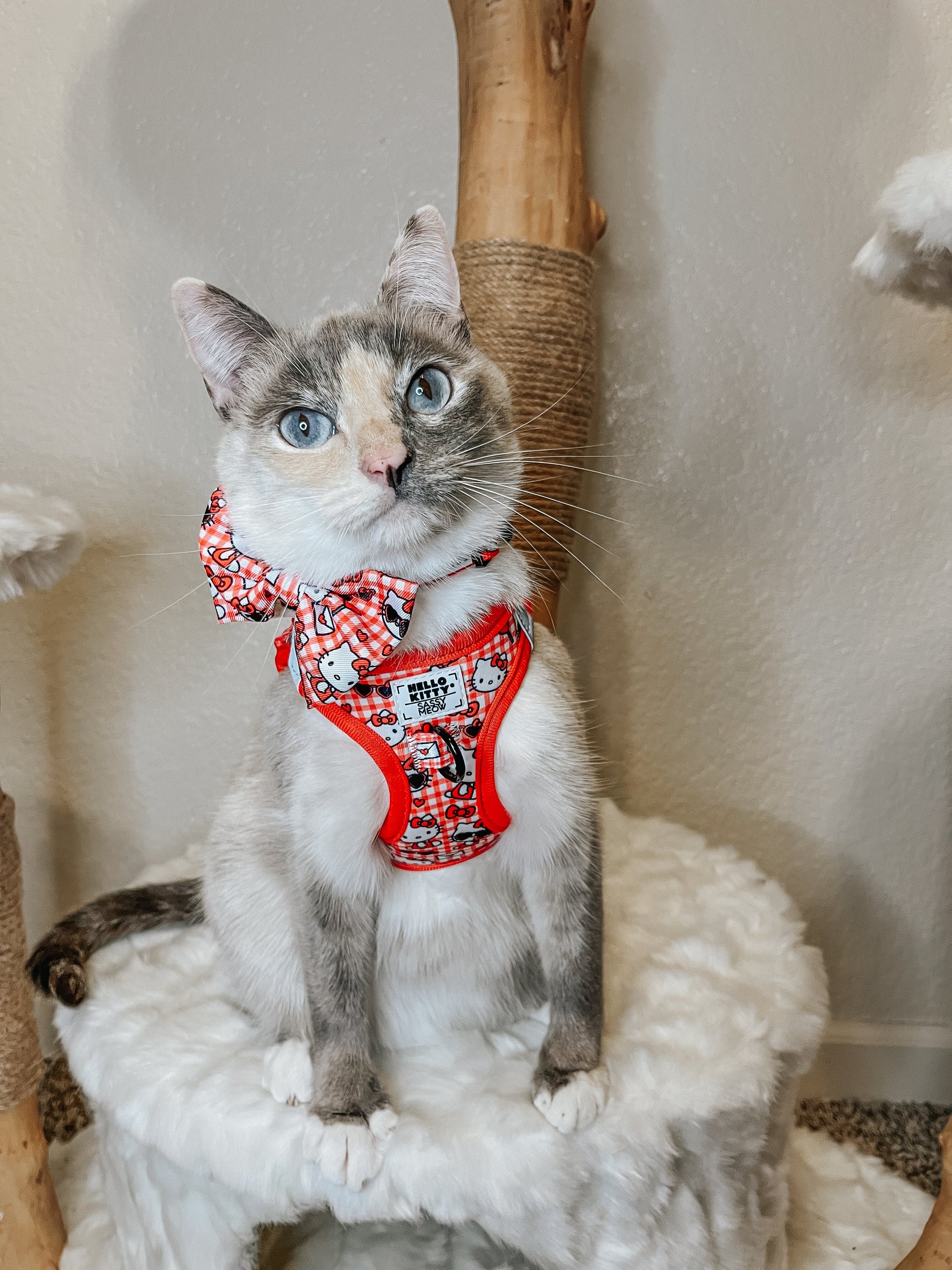 INFLUENCER_CONTENT | @LUNA_LILY_LUCY