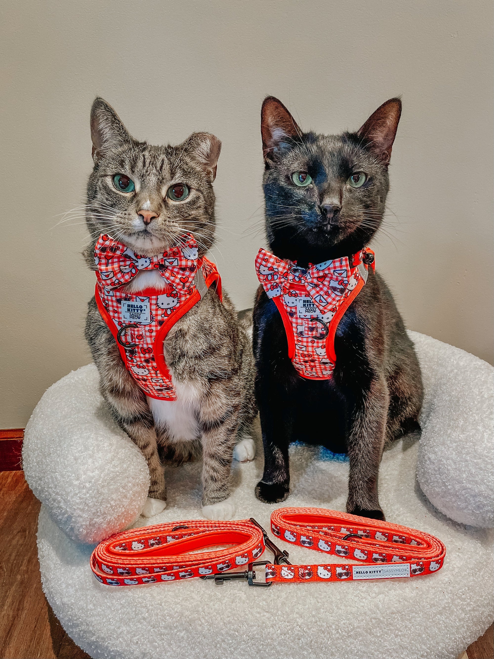 INFLUENCER_CONTENT | @MILOCAT_SWEETNESS