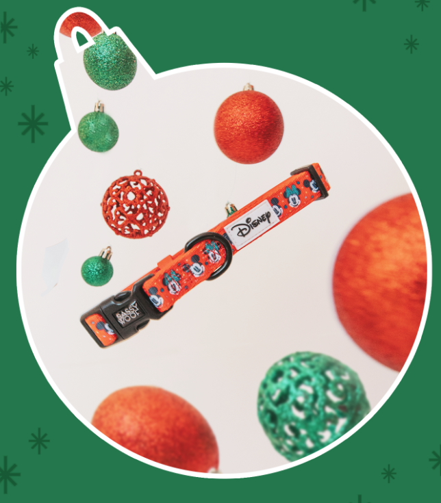 Dog Collar - Disney Holiday