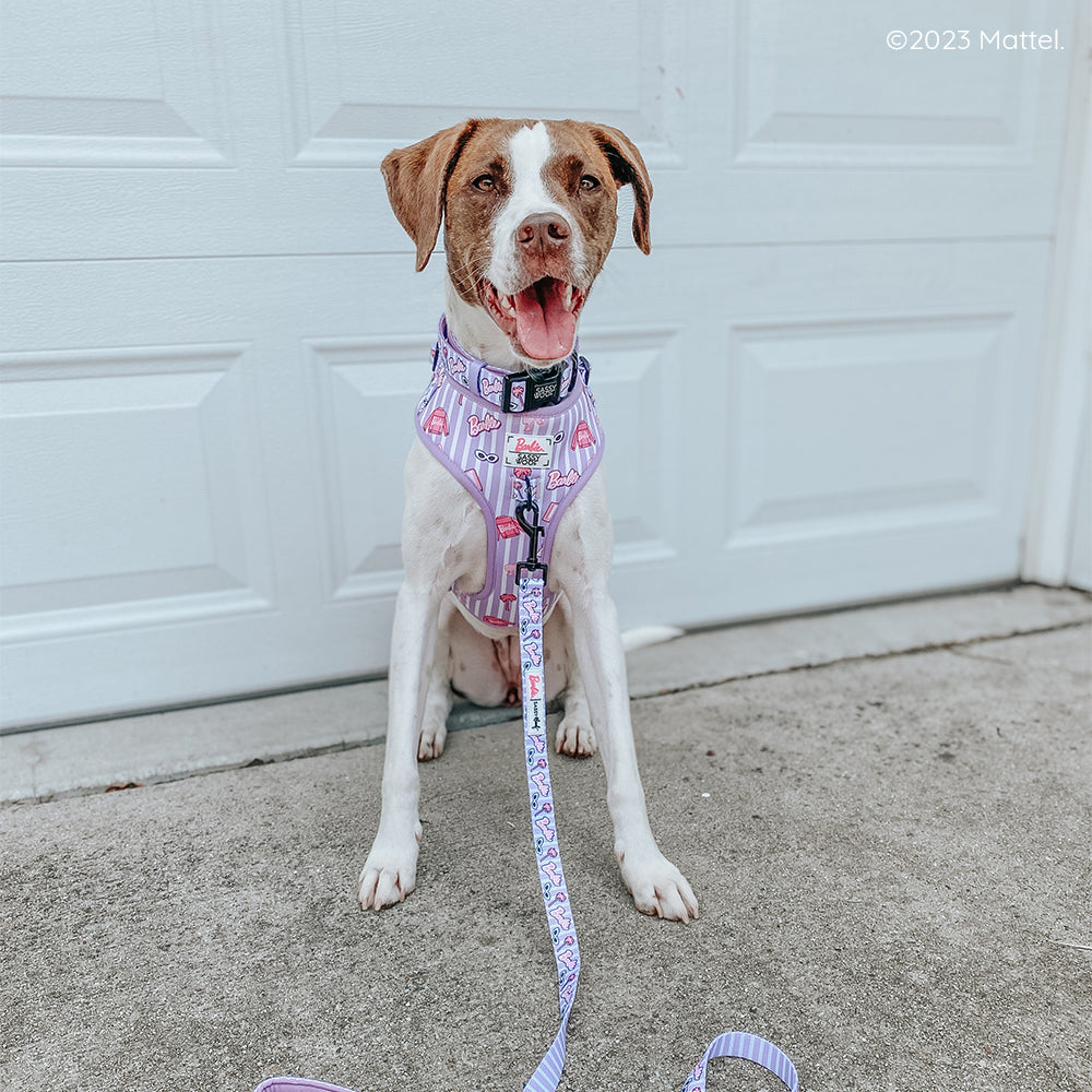 Dog Collar - BARBIE™ Closet Goals