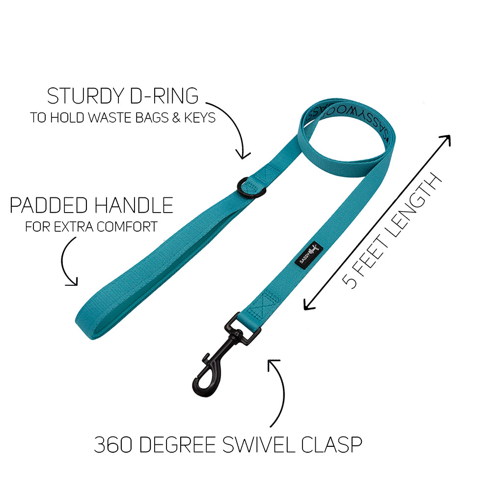 Dog Four Piece Bundle - Neon Blue