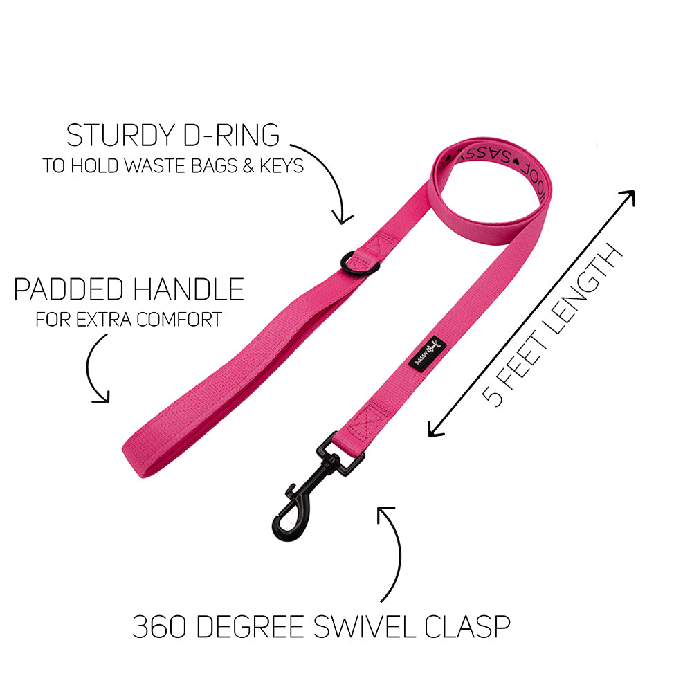 Dog Four Piece Bundle - Neon Pink