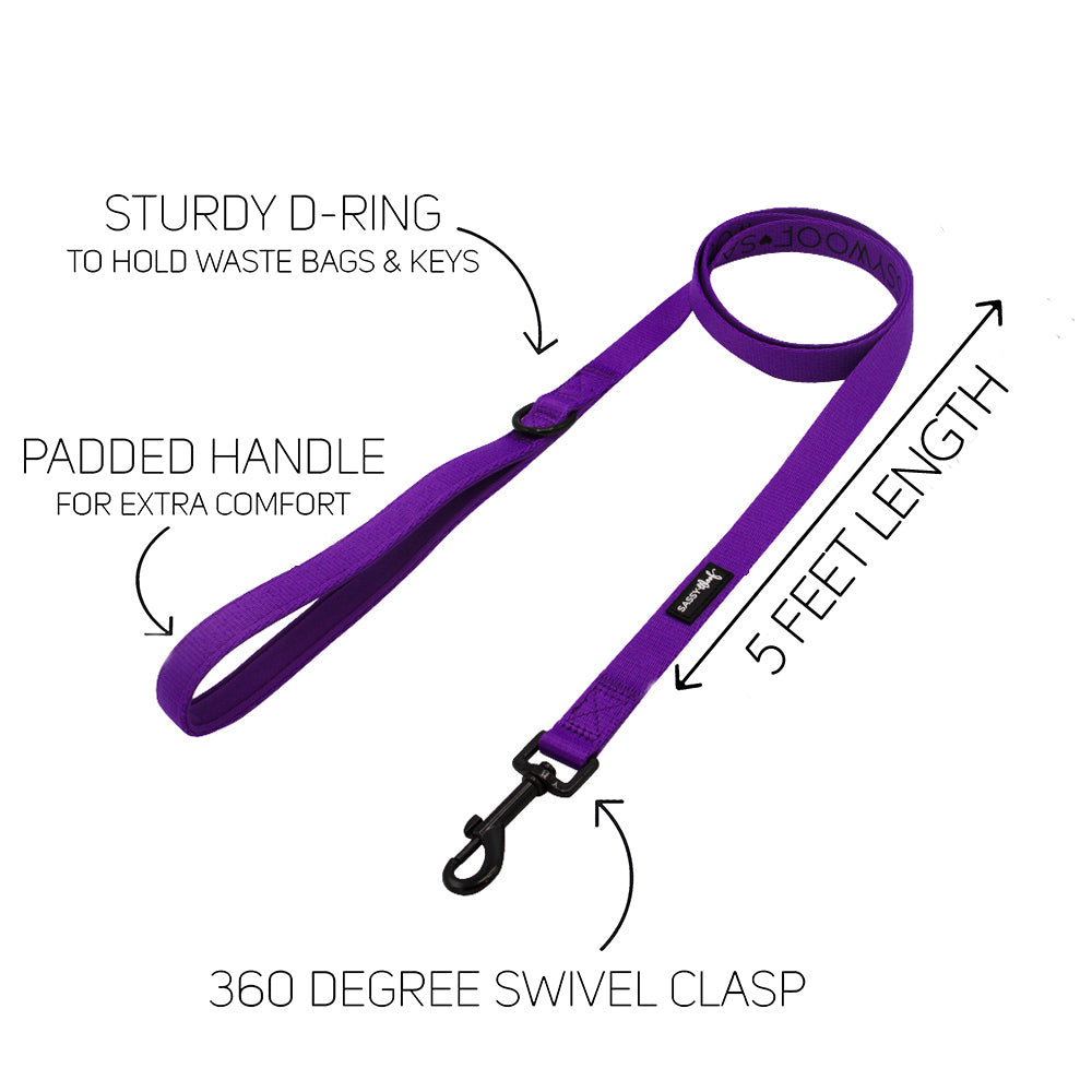 Dog Four Piece Bundle - Neon Purple