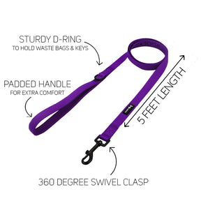 Dog Leash - Neon Purple