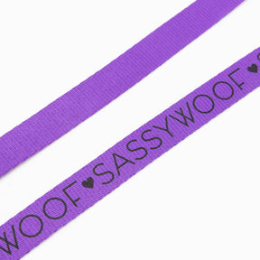 Dog Leash - Neon Purple