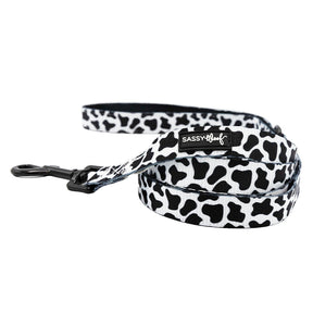 Dog Four Piece Bundle - Whole Milk