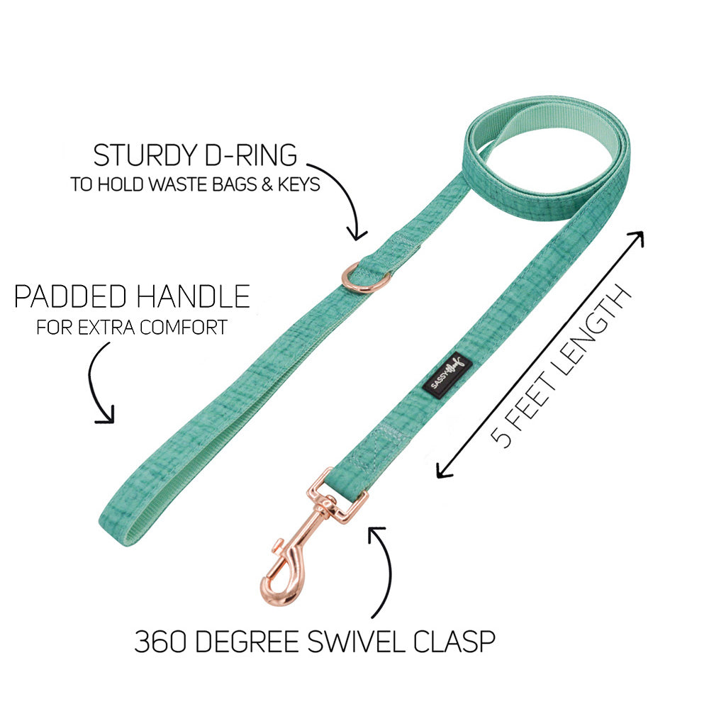 Dog Two Piece Bundle - Wag Your Teal