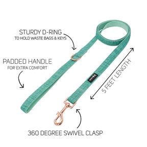 Dog Two Piece Bundle - Wag Your Teal