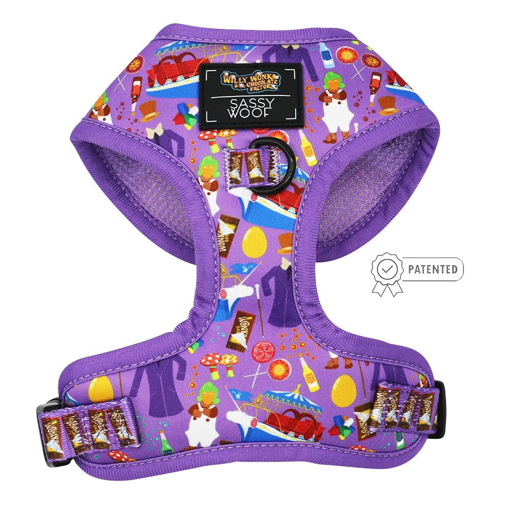 Dog Two Piece Bundle -  Willy Wonka & The Chocolate Factory™