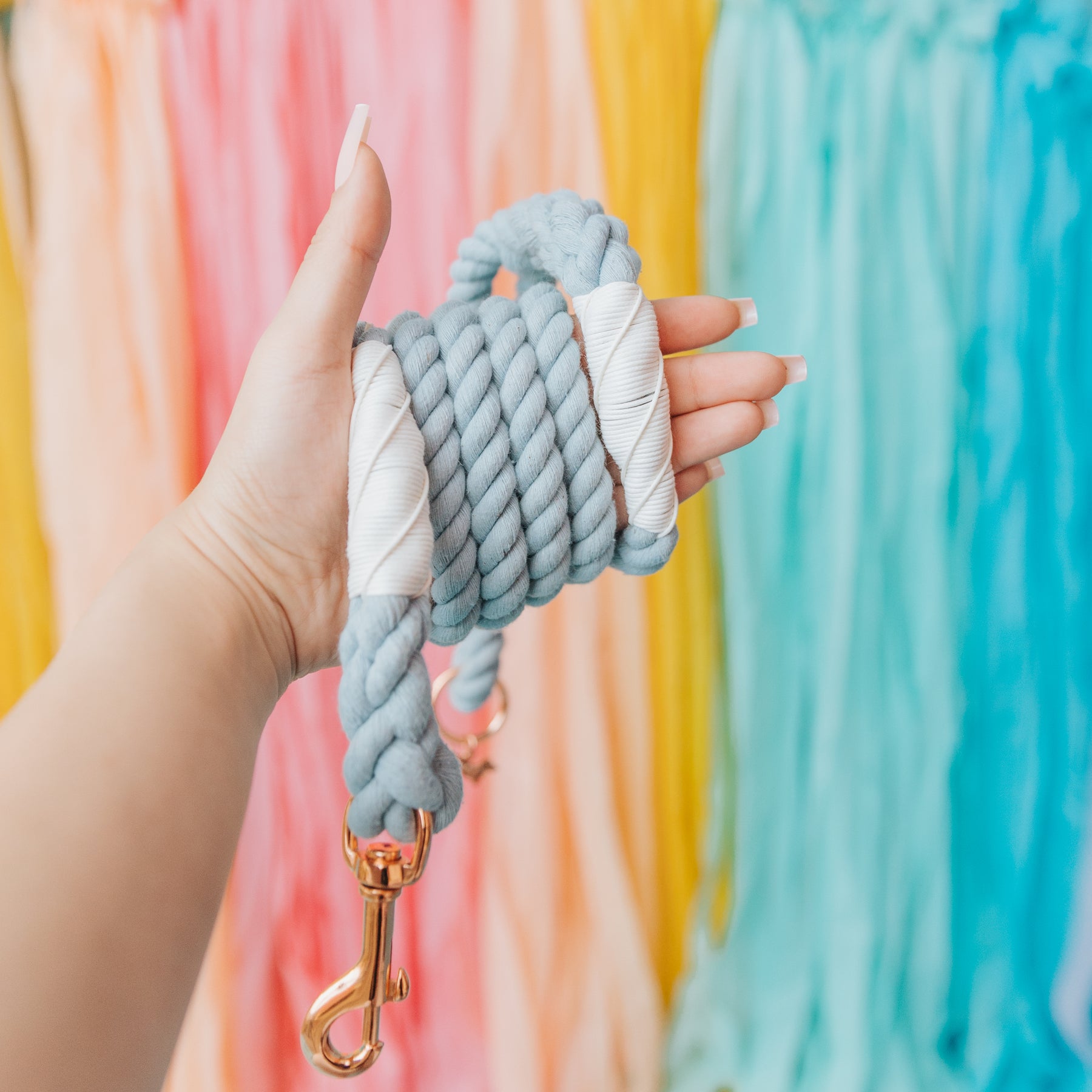 Dog Rope Leash - Azul