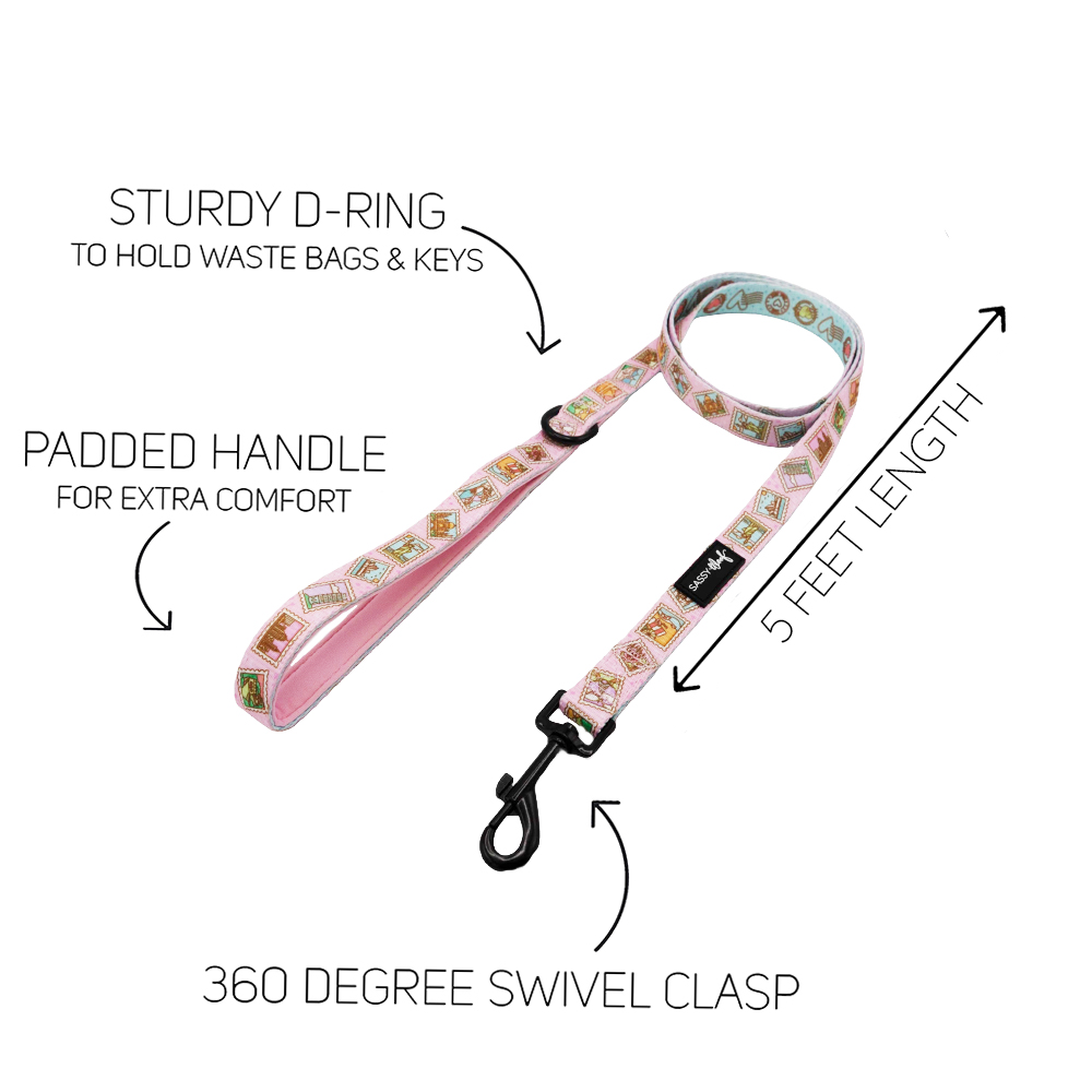 Dog Leash - Out of Office