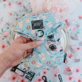 Dog Four Piece Bundle - Sweets & Pawfee