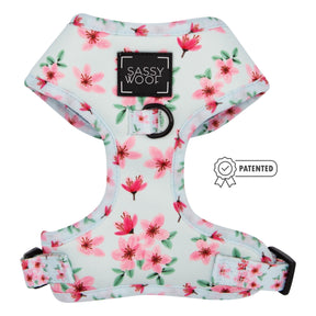 Dog Two Piece Bundle - Sakura