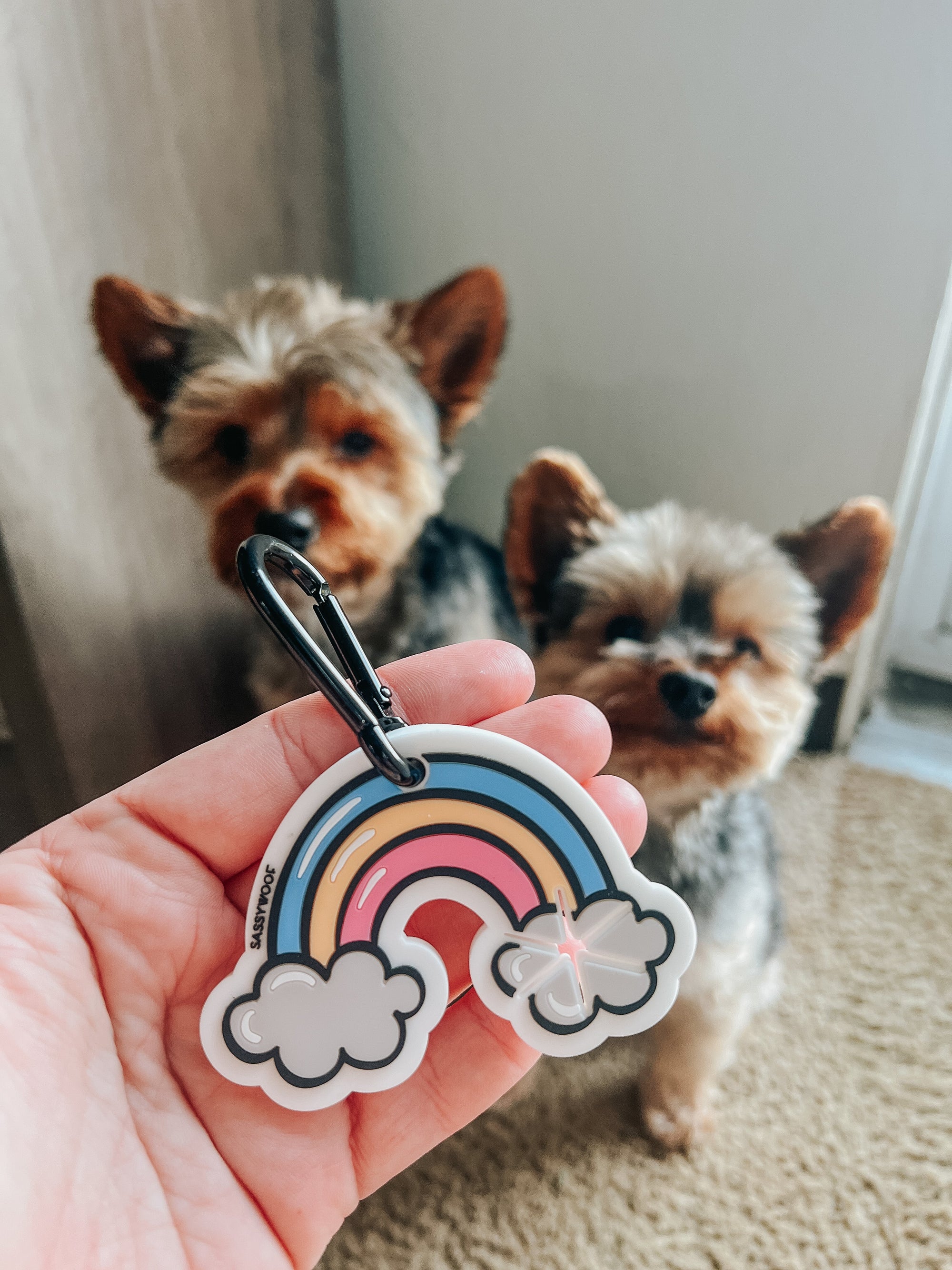 INFLUENCER_CONTENT | @YORKIEBROTHERSWINSTON_CHARLES