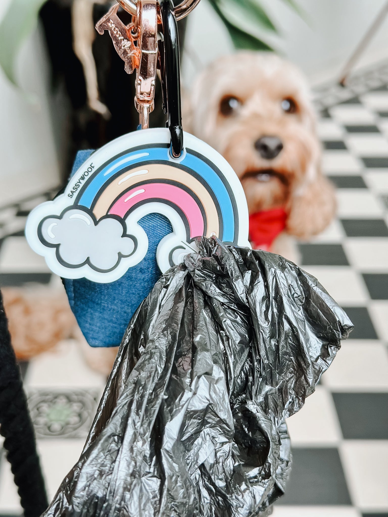 INFLUENCER_CONTENT | LILY