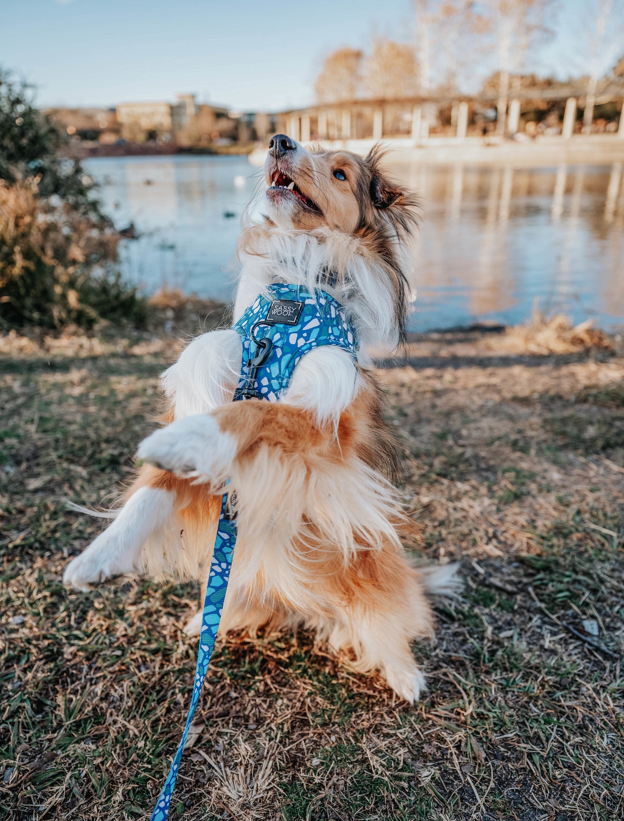 INFLUENCER_CONTENT | @KIRBYTHEFURBABY | SIZE S