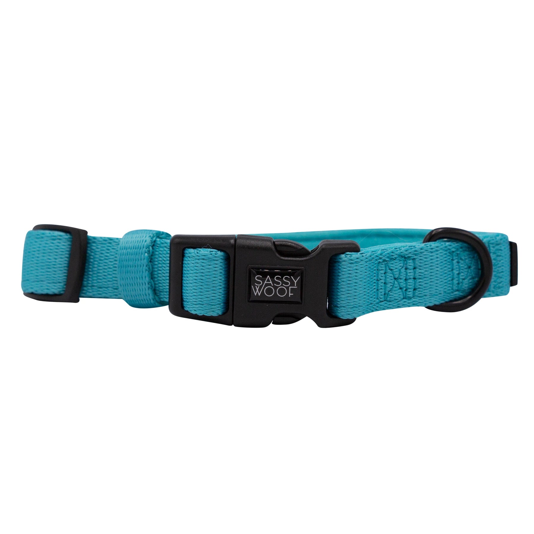 Dog Four Piece Bundle - Neon Blue